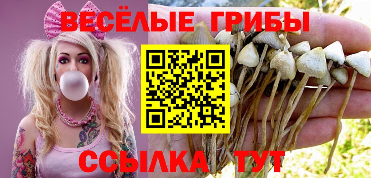 Галлюциногенные грибы Magic Shrooms  Вход с VPN  Ефремов 